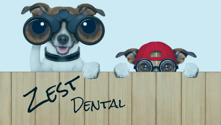 Image Result For Dentist Jobs In Queensland Qld Jul Seek