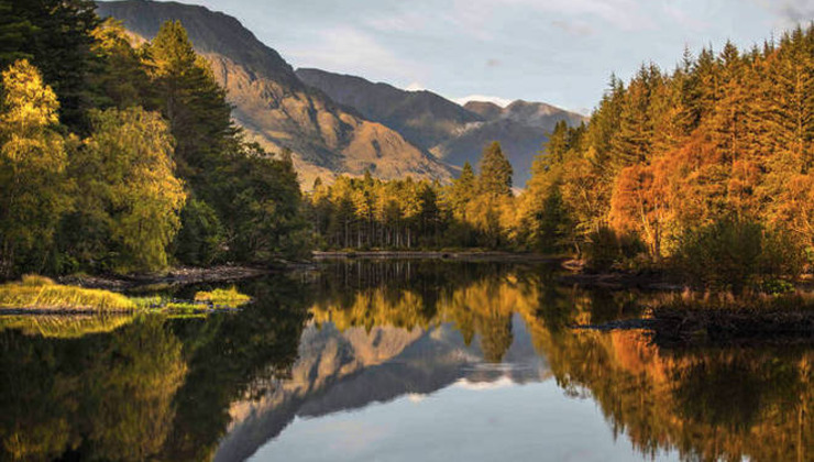Dentist Jobs in Scotland