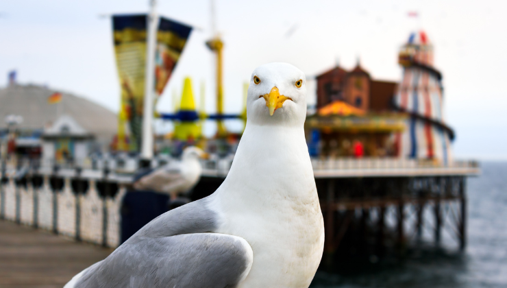 Dentist Job in Brighton and Hove