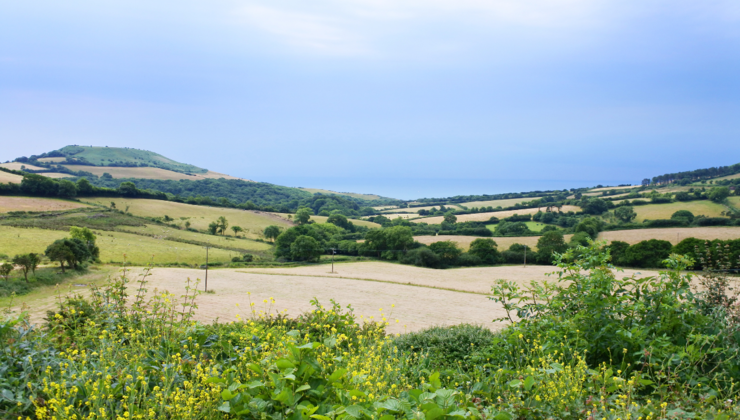 Dentist Jobs in Dorset